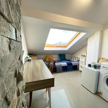 Lk17 - Loft In The Center Sofia